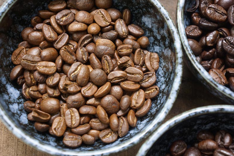 typica roasted coffee beans in bowls