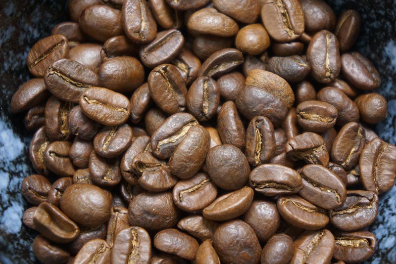 typica roasted coffee beans