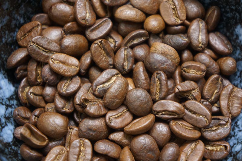 The Arabica coffee bean is one of the characteristics of popular coffee ...