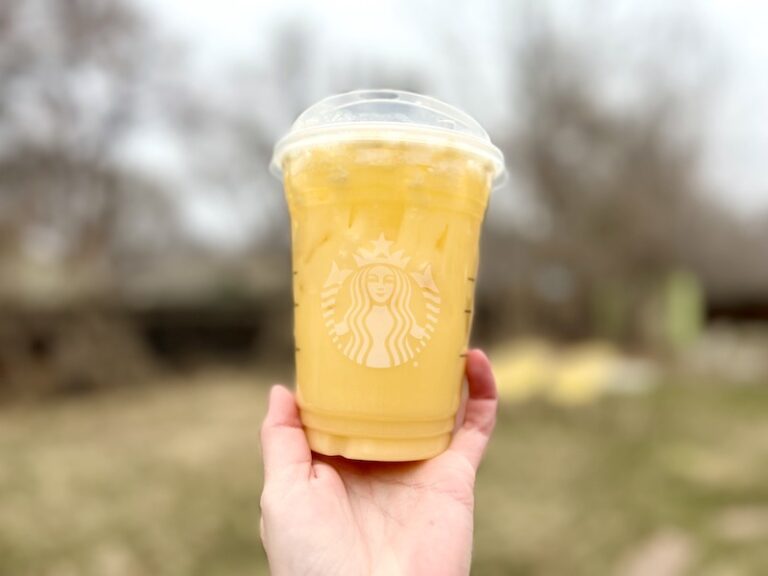 10 Best Summer Drinks at Starbucks in 2024: Ranked & Reviewed | Coffee