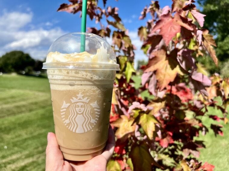 12 Best Starbucks Fall Drinks in 2024 Ranked & Reviewed Coffee Affection