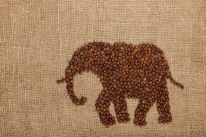 elephant made out of coffee beans on burlap sack