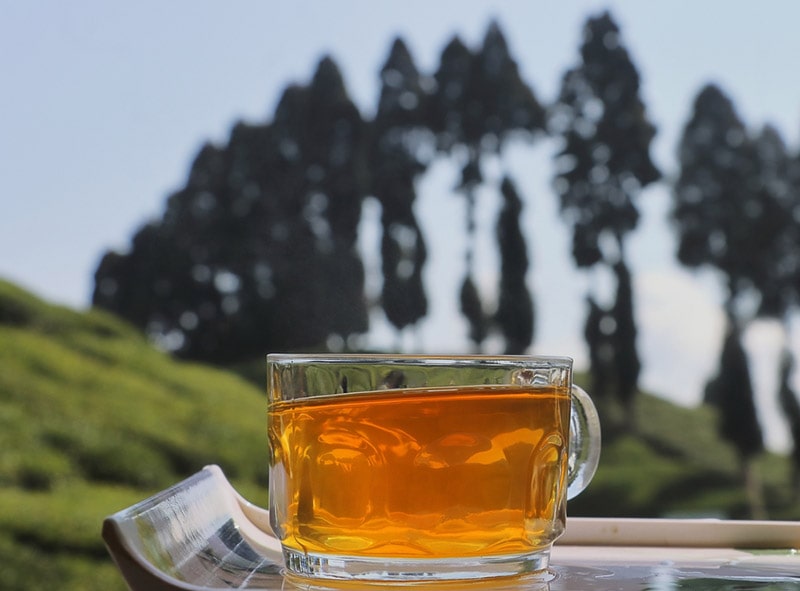 a cup of darjeeling tea