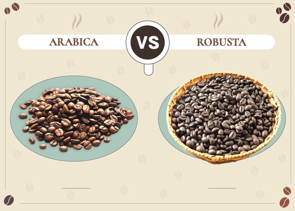 arabica-vs-robusta