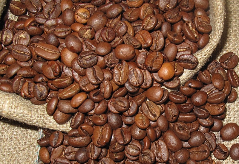roasted arabica coffee beans on burlap sack