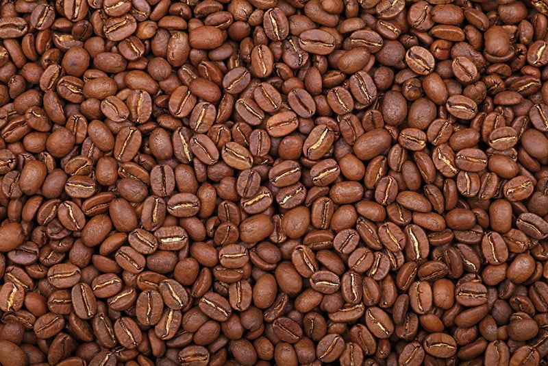 roasted arabica coffee beans