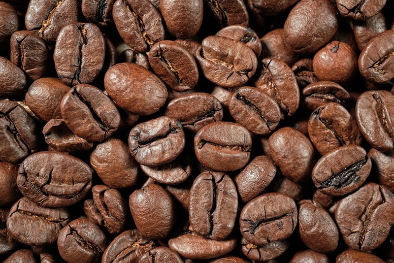 Robusta Coffee Beans: Facts, Flavors & Pictures | Coffee Affection