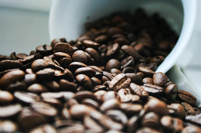 How A lot Caffeine Is in Taft Espresso? 2023 Breakdown